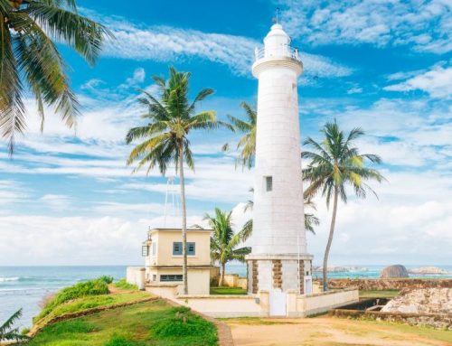 Where to Surf in Sri Lanka