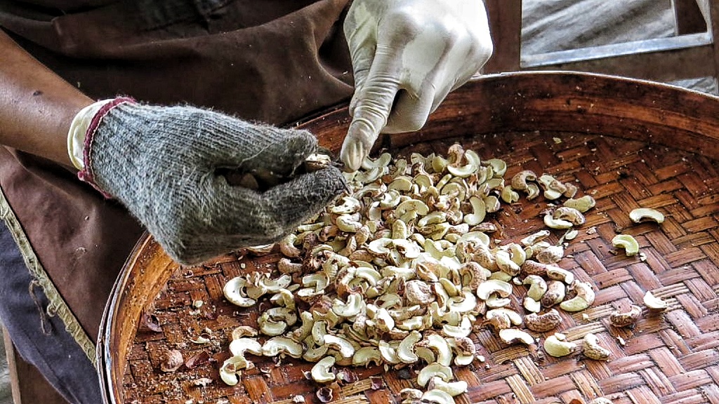 Cashew production by Muntigunung Community Social Handicraft Enterprise