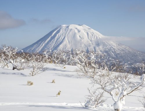 A Niseko Holiday Your Family Will Never Forget