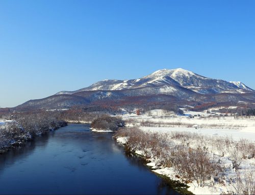 Why Go to Japan’s Ski Resorts in Niseko: What Makes Them Different?